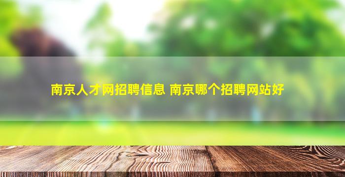 南京人才网招聘信息 南京哪个招聘网站好